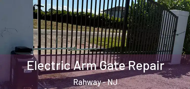 Electric Arm Gate Repair Rahway - NJ