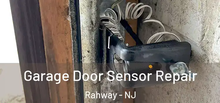 Garage Door Sensor Repair Rahway - NJ
