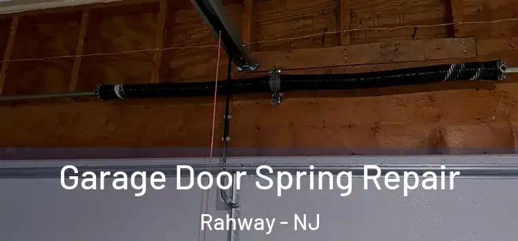  Garage Door Spring Repair Rahway - NJ