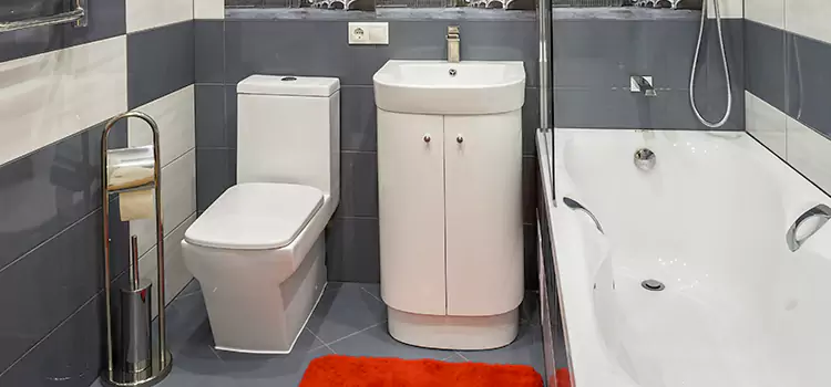 Hansgrohe Shaving Mirror Rahway