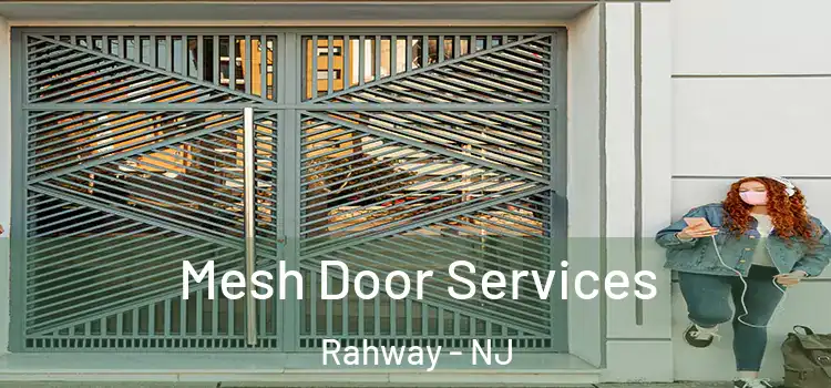 Mesh Door Services Rahway - NJ